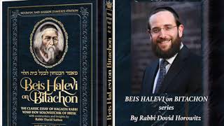 Only Trust in Hashem, Not In Your Fellow Man - Bitachon #240