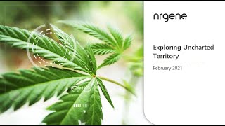 Exploring Uncharted Territory: Autoflowering and More