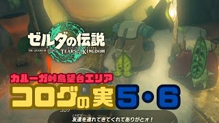 【ゼルダの伝説　ティアキン】コログの実5・6！カルーガ峠鳥望台エリア