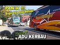 Skill edan !! Bus sugeng rahayu kejar kejaran sama bus budiman, aksi ngeblong hampir adu banteng