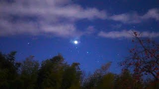 元旦の空に輝く宵の明星（SONYα7SⅢリアルタイム動画）