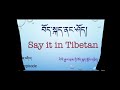 བོད་སྐད་ནང་ཤོད། say it in tibetan 4th episode