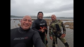 Two of the Best Divers | Boat Near Miss | Crayfish Risotto | Porirua Wellington NZ