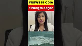 Rain News Today| ତାମିଲନାଡୁରେ ଜଳପ୍ରଳୟ | IMD issues red alert over South Tamil Nadu| Odia News