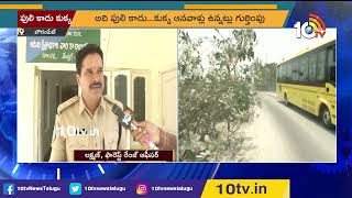 అమ్మో పులి.. కాదు కాదు కుక్క | Tiger Roaming in Bowrampet News Update | 10TV