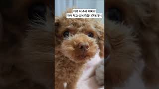 까까 좀 만 더 주라 에미야ㅡㅡ