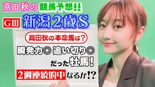 【競馬大予想!!】新潟/新潟２歳S(G3)| 高田秋のほろよい気分