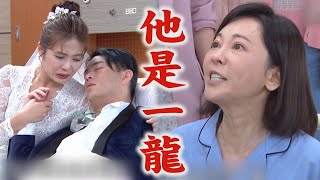 【天之驕女】EP203預告 明鳳總算說出尚豪身世! KURO對雨菲的心意再也藏不住