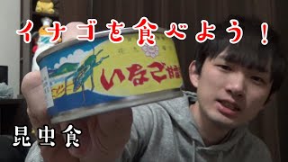 【閲覧注意】イナゴの甘露煮を食べたよ【ゲテモノ】