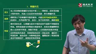 生理学（9 11章） 生理09章 04神经系统对姿势和躯体运动的调节（66分钟）