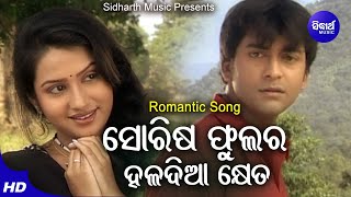 Sorisa Phulara Haladia Kheta - Romantic Album Song | Nibedita | Somesh,Ameli,Neina | Sidharth Music