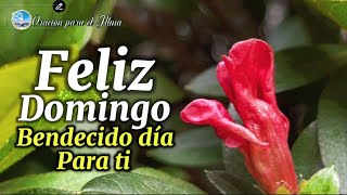 Feliz domingo hermoso mensaje de buenos días ábrelo Dios te bendiga