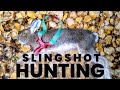 Slingshot Hunting Snowshoe Hare and Grouse: Excellent Outings!