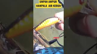 Umpan hampala air keruh paling AMPUH !! #shorts #videoshorts #castinghampala