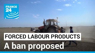 European Commission proposes new rules to ban forced labour products • FRANCE 24 English