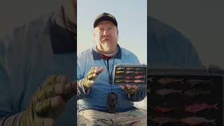 NEW! TT Quake 50mm and 60mm Power Vibes are here! #fishing #shorts #ttfishing #softvibe #lurefishing