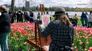 70th Anniversary Of The Canadian Tulip Festival | Rogers tv