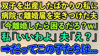 【スカッとする話】双子を出産したばかりの私に病院で離婚届を突きつけた夫「子供産んだからって偉そうにしたら即離婚な！離婚したら困るだろ？w」私「いいわよ」夫「え？」喜んで役所へ、だってこの子は...