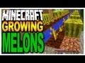 Minecraft -Growing Melons & Finding Seeds