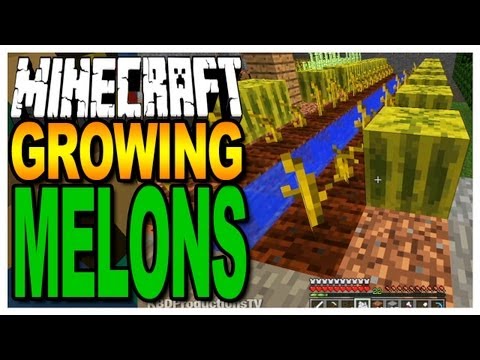 Minecraft -Growing Melons & Finding Seeds Minecraft -Growing Melons & Finding Seeds