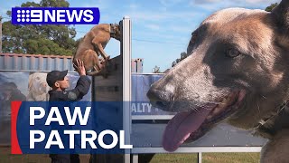 Sydney's new $7.2 million police dog unit facility | 9 News Australia