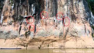 Finding hidden rock art in Asia | Noel Hidalgo Tan | TEDxSingapore