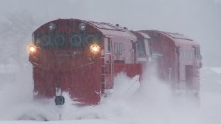 DD16 ラッセル 大糸線　雪9429レ　雪9430レ