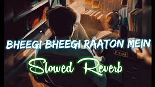 Bheegi Bheegi Raton Mein || Adnan Sami || Slowed + Reverb