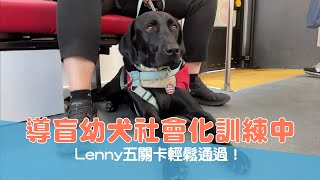 【導盲犬上課趣 Ep.32】導盲幼犬社會化訓練中！Lenny五關卡輕鬆通過！