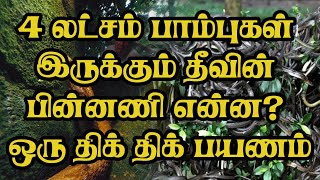 4 லட்சம் பாம்புகள் இருக்கும் தீவின் பின்னணி என்ன? ஒரு திக் திக் பயணம்