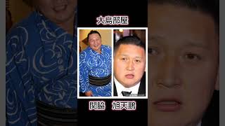 全相撲部屋の師匠の現役時と現在！(前編)　#大相撲　#sumo 　#横綱　#大関　#親方　#魁皇　#旭富士　#琴ノ若　#伊勢ヶ濱部屋　#千代大海　#shorts