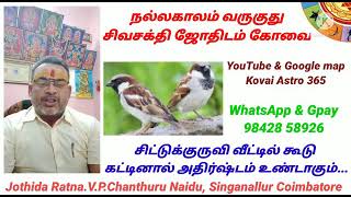 சிட்டுக்குருவி வீட்டில் கூடு கட்டினால் நல்லதா கெட்டதா...