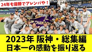 【阪神・総集編】2023年シーズン前～優勝までをまとめてみたwww【作業用】