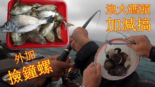 【新年快樂】上礁趕海撿鐘螺！流水到臭肚沙格咬起來！！！【姑婆嶼】【澎湖磯釣】【大緯釣魚趣】