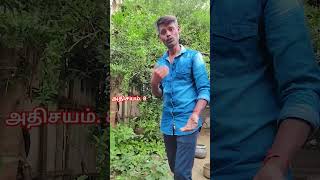 என் மனசு பெண்னம்மா #trending #family #video #song #🌺🌹🌺