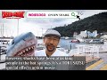 【producer message】 onsen shark a japanese shark film project