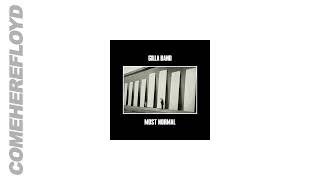 Gilla Band - Backwash