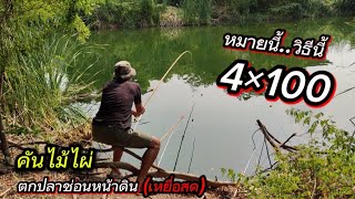 ❗สับตรีนแตก..ลองวิชา คันไม้ไผ่+ทุ่นลอย ตกปลาช่อนหน้าดิน(เหยื่อสด) fishing sneakhead fish