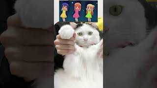 猫がアニメダンス踊ってみたToca Toca #shorts