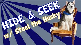 Hide & Seek with a Husky | Meghan McCarthy