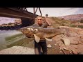 big larry the legendary fish this week 13 2 25 call of the wild the angler