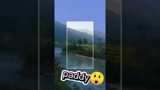 👉Narayani Nadi Kati thulo rahex ta😲 Wow. Pura Video hernu hola ..at Nuwakot🤭