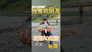 (紀錄)醬哥的花蓮50cm紀錄霞2024.01.08，開始想念花蓮的西瓜了#taiwanfishing ##fishing #溪流釣り #溪釣 #釣魚#花蓮#霞面#50霞#紀錄