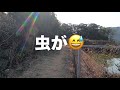 渥美半島　お手軽登山