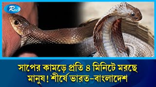 সাপের দংশনে প্রতি ৪-৬ মিনিটে মা'রা যাচ্ছে একজন, শীর্ষে ভারত-বাংলাদেশ | Snake Bite | Rtv News