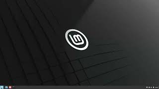 First Things to Do After Installing Linux Mint