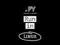 Run python file in Linux!!! #shorts