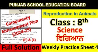 Pseb Competency Based Paper Class 8th Science Worksheet 4 Test 2024 8th