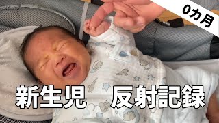 【新生児】原始反射の記録･生後0ヵ月