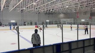 Ottawa Sting vs. Philadephia Little Flyers - December 29, 2024 (Bell Capital Cup)